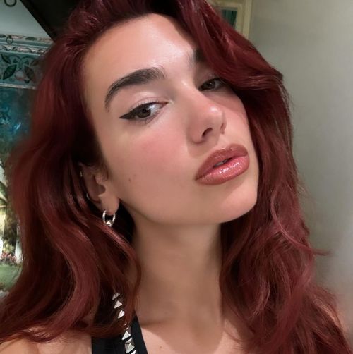 Dua Lipa's Rajasthan Vacay Will Poke The Wanderlust In You